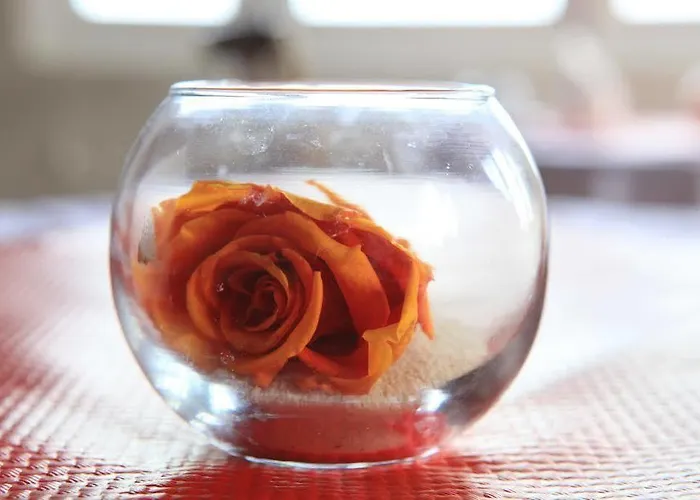 Szálloda Agur Deneri